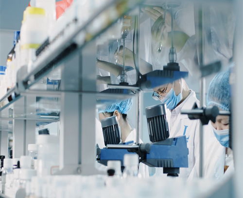 廣州蘿薇面膜代加工起訂量及信息咨詢服務指南