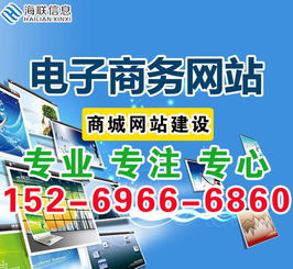 互聯網時代企業電子商務商城網站建設與信息咨詢服務指南