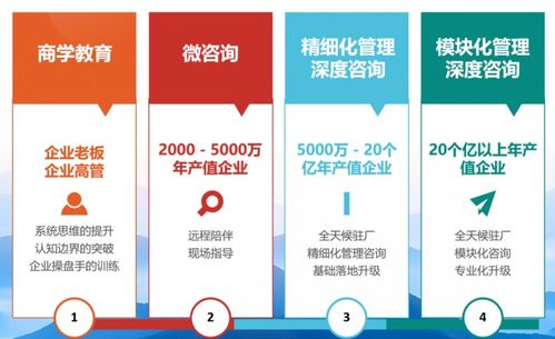 朗歐咨詢 解鎖包裝行業精細化轉型新路徑的專業伙伴