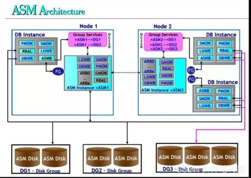 Oracle自動存儲管理（ASM） 數(shù)據(jù)處理與存儲支持服務(wù)深度解析